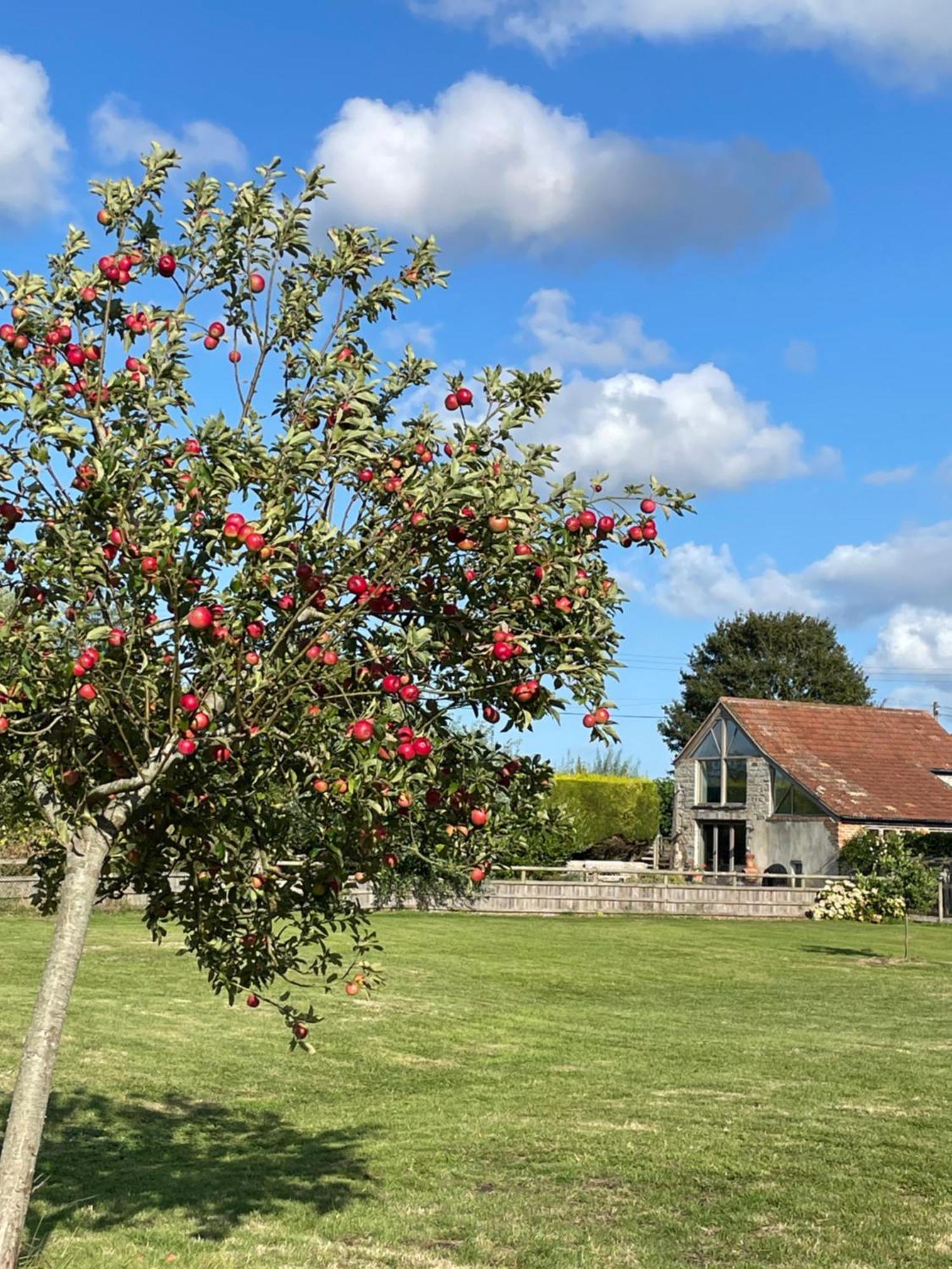 The Hayloft At Stathe Farm Villa Bridgwater Eksteriør bilde
